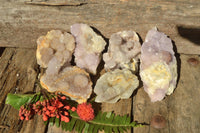 Natural Spirit Quartz Clusters x 6 From Boekenhouthoek, South Africa - TopRock