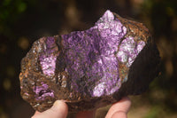 Natural Metallic Purpurite Cobbed Specimens  x 2 From Namibia - Toprock Gemstones and Minerals 