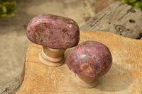 Polished Stunning Red Rhodonite Free Forms x 6 From Zimbabwe - TopRock