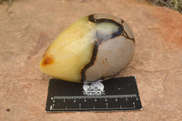 Polished Septaria Dragon's Eggs (Calcite & Aragonite) x 3 From Mahajanga, Madagascar - TopRock