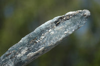 Natural Small Semi Translucent Blue Kyanite Crystals  x Sold per 1 Kg -  From Karoi, Zimbabwe - TopRock