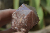 Natural Red Hematoid Quartz Specimens x 6 From Karoi, Zimbabwe