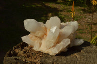 Natural Large Milky White Quartz Cluster With Clean Intact Crystals  x 1 From Madagascar - TopRock