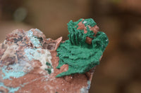 Natural Drusy Coated Chrysocolla & Malachite Dolomite Specimens x 3 From Congo