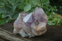 Natural Jacaranda Amethyst Cluster x 1 From Mumbwa, Zambia - TopRock