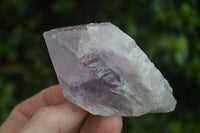 Natural Single Jacaranda Amethyst Crystals  x 12 From Zambia - Toprock Gemstones and Minerals 