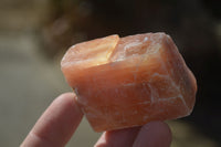 Natural New Sunset Orange Calcite Specimens  x 24 From Spitzkop, Namibia