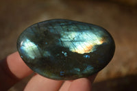 Polished  Flashy Labradorite Palm Stones  x 12 From Tulear, Madagascar