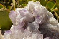 Natural Large Stunning Jacaranda Amethyst Vug Cluster  x 1 From Zambia - TopRock