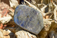 Polished Labradorite Standing Free Forms With Intense Blue Flash x 2 From Sakoany, Madagascar - TopRock