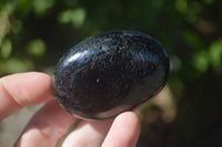 Polished Schorl Black Tourmaline Palm Stones  x 12 From Madagascar - Toprock Gemstones and Minerals 