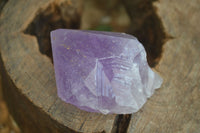 Natural Single Jacaranda Amethyst Crystals  x 12 From Zambia - Toprock Gemstones and Minerals 