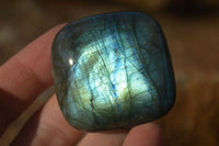 Polished  Flashy Labradorite Palm Stones  x 12 From Tulear, Madagascar