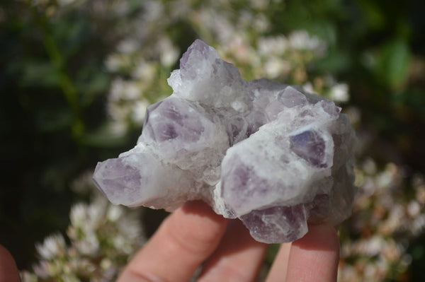 Natural Sugar Amethyst Clusters  x 4 From Solwezi, Zambia