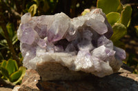 Natural Large Stunning Jacaranda Amethyst Vug Cluster  x 1 From Zambia - TopRock