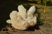 Natural Large Milky White Quartz Cluster With Clean Intact Crystals  x 1 From Madagascar - TopRock