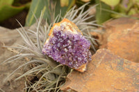 Natural Dark "Amethystos" Amethyst Clusters  x 24 From Kwaggafontein, South Africa - TopRock