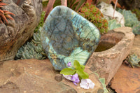 Polished Labradorite Standing Free Form With A Full Face Flash x 1 From Tulear, Madagascar - TopRock