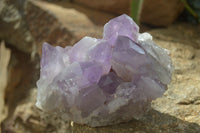 Natural Jacaranda Amethyst Clusters x 2 From Zambia