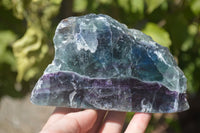 Polished Watermelon Fluorite Slices  x 2 From Uis, Namibia