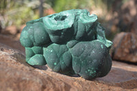 Natural Botryoidal Malachite Specimens  x 2 From Kambove, Congo