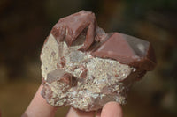 Natural Red Hematoid Quartz Specimens x 6 From Karoi, Zimbabwe