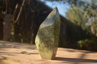 Polished  Leopard Stone Standing Free Form x 1 From Zimbabwe