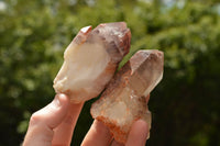 Natural Red Hematite Phantom Quartz Specimens  x 12 From Karoi, Zimbabwe - TopRock