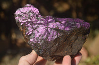 Natural Metallic Purpurite Cobbed Specimens  x 2 From Namibia - Toprock Gemstones and Minerals 