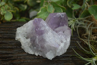 Natural Jacaranda Amethyst Clusters  x 3 From Mumbwa, Zambia - Toprock Gemstones and Minerals 