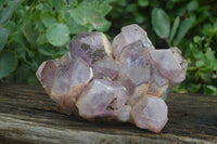 Natural Jacaranda Amethyst Cluster x 1 From Mumbwa, Zambia - TopRock