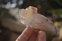 Natural Hematoid Quartz Crystals x 12 From Karoi, Zimbabwe