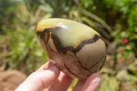 Polished Septaria Dragon's Eggs (Calcite & Aragonite) x 3 From Mahajanga, Madagascar - TopRock