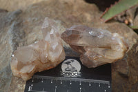 Natural Hematoid Quartz Crystals x 12 From Karoi, Zimbabwe