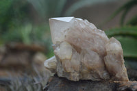 Natural Cascading White Phantom Smokey Quartz Clusters  x 6 From Luena, Congo - Toprock Gemstones and Minerals 