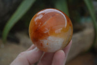 Polished Vibrant Carnelian Agate Spheres  x 5 From Madagascar - Toprock Gemstones and Minerals 