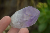 Natural Single Jacaranda Amethyst Crystals  x 12 From Zambia - Toprock Gemstones and Minerals 