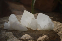 Natural Pineapple Candle Quartz Crystals  x 35 From Madagascar