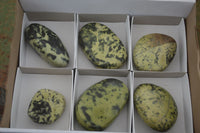 Polished Large Leopard stone Free Forms  x 6 From Zimbabwe - TopRock