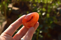 Polished Gorgeous Deep Red Carnelian Agate Eggs  x 12 From Madagascar - TopRock