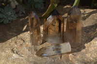 Polished Large Phantom Smokey Quartz Points  x 4 From Madagascar