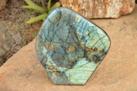 Polished Labradorite Standing Free Form With A Full Face Flash x 1 From Tulear, Madagascar - TopRock