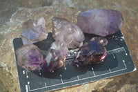 Natural Single Smokey Amethyst Crystals  x 35 From Chiredzi, Zimbabwe - Toprock Gemstones and Minerals 