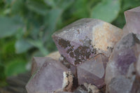 Natural Jacaranda Amethyst Cluster x 1 From Mumbwa, Zambia - TopRock