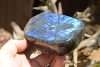 Polished Labradorite Standing Free Forms With Intense Blue Flash x 2 From Sakoany, Madagascar - TopRock