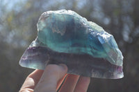 Polished Watermelon Fluorite Slices  x 2 From Uis, Namibia