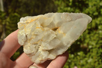 Natural Spirit Quartz Clusters x 6 From Boekenhouthoek, South Africa - TopRock