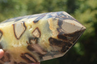 Polished Large Septaria (Yellow Calcite and Aragonite) Point x 1 From Mahajanga, Madagascar - TopRock