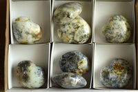 Polished Dendritic White Opal Hearts x 8 From Moralambo, Madagascar - TopRock