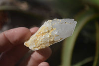 Natural Pineapple Candle Quartz Crystals  x 35 From Madagascar